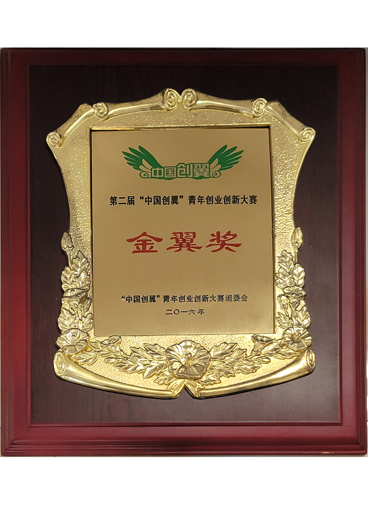 第二屆“中國創(chuàng  )翼青年創(chuàng  )業(yè)創(chuàng  )新大賽金翼獎“